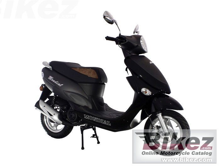Mondial 100 Loyal
