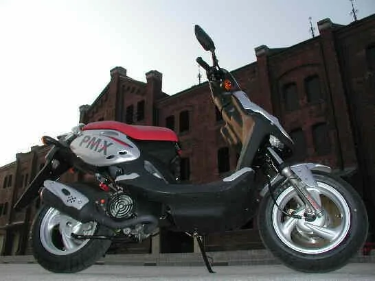 PGO PMS Sport 110