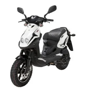 PGO PMX 100
