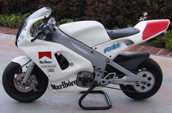 Polini GR 3 Reverse Minimoto