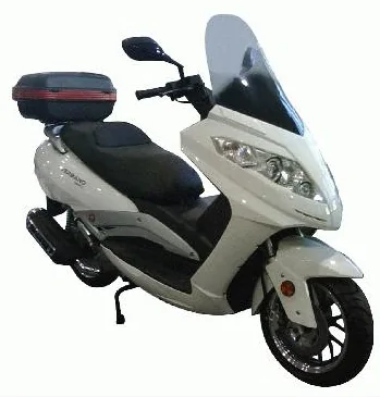 Puma Verbano 250 2013