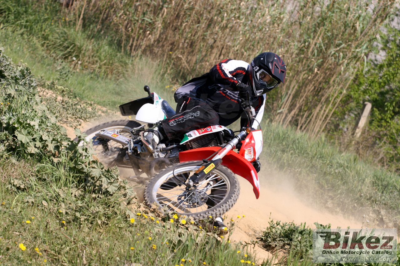 Thumbnail for Rieju RR Sport Edition 2007