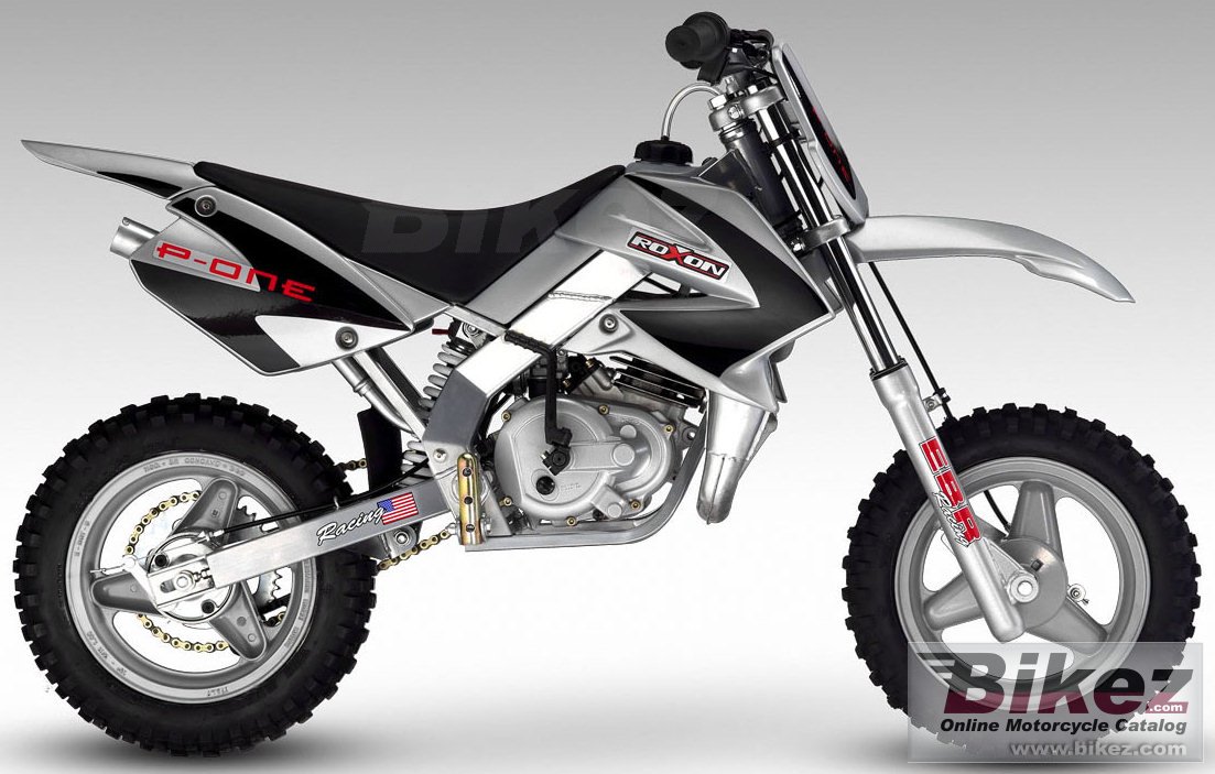 Roxon P-ONE 10-10