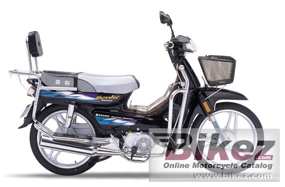 Senke SK100