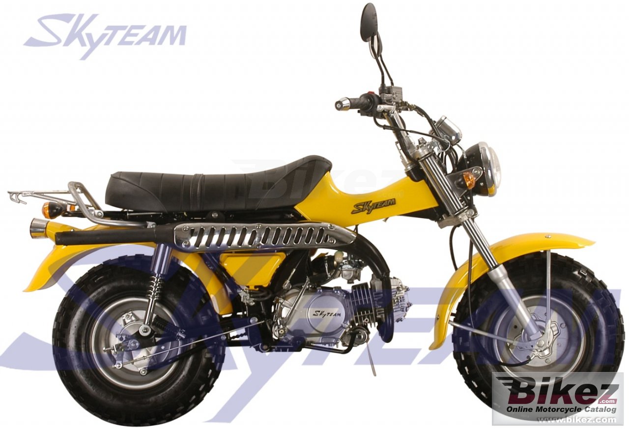 Skyteam T-Rex 125