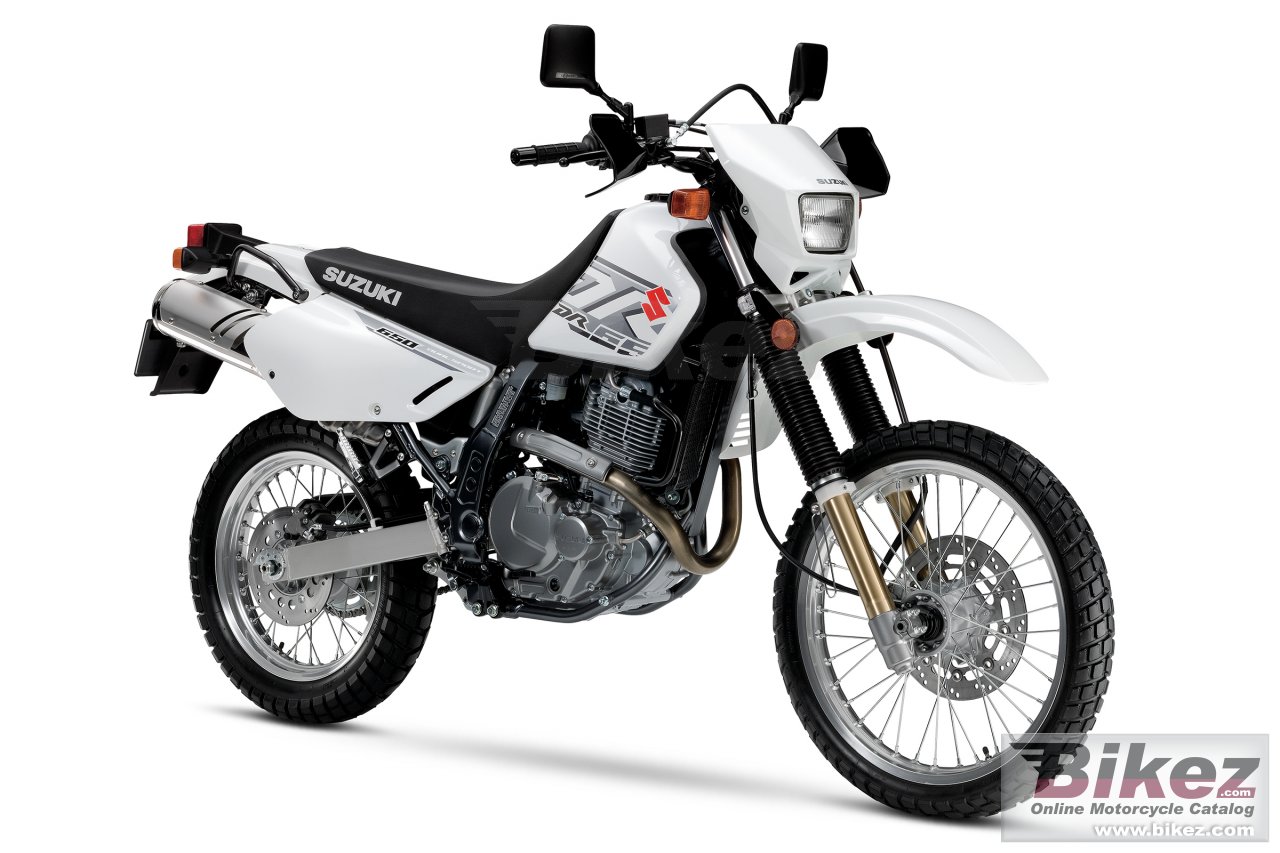 Suzuki DR650S
