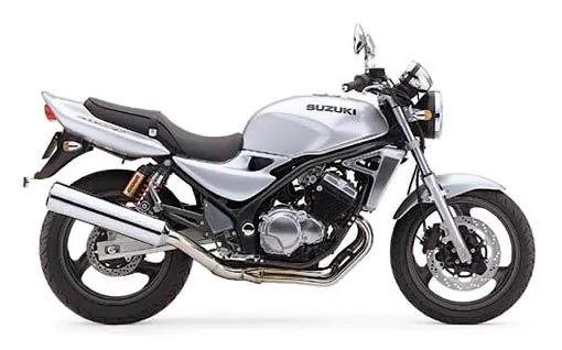 Suzuki GSX 250 FX