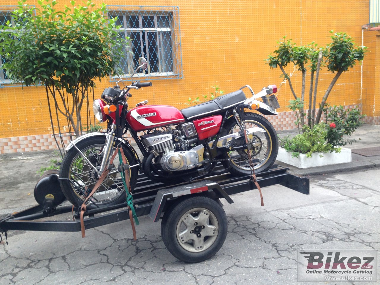 Thumbnail for Suzuki GT 550 1975