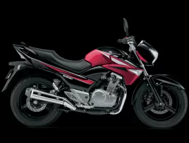 Thumbnail for Suzuki GW250Z 2015