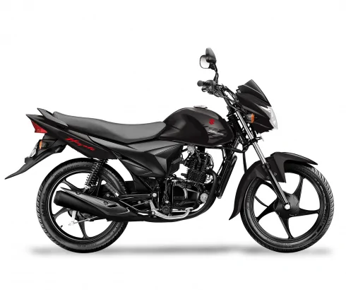 Suzuki Hayate Evolution