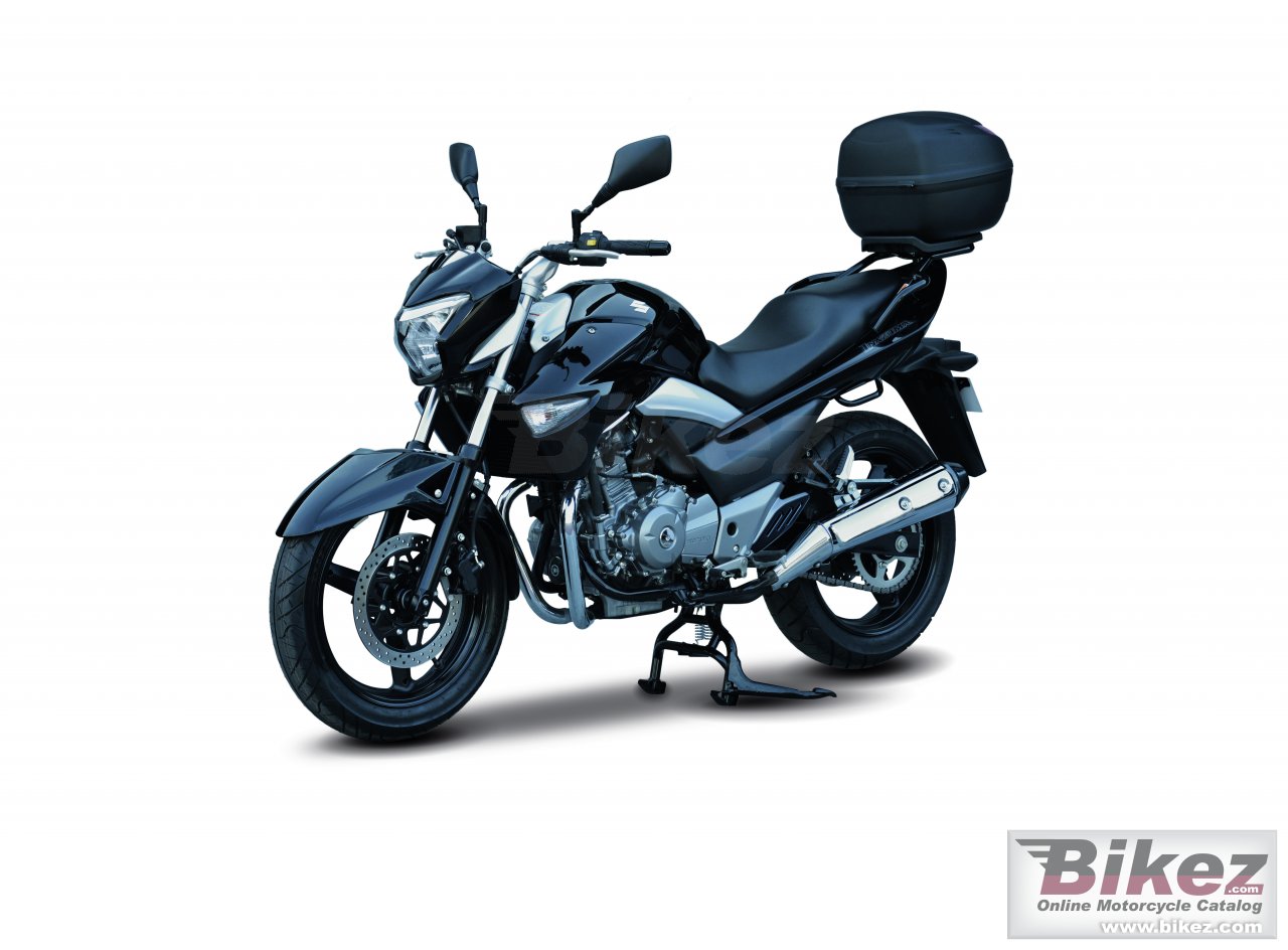 Thumbnail for Suzuki Inazuma 250 2014