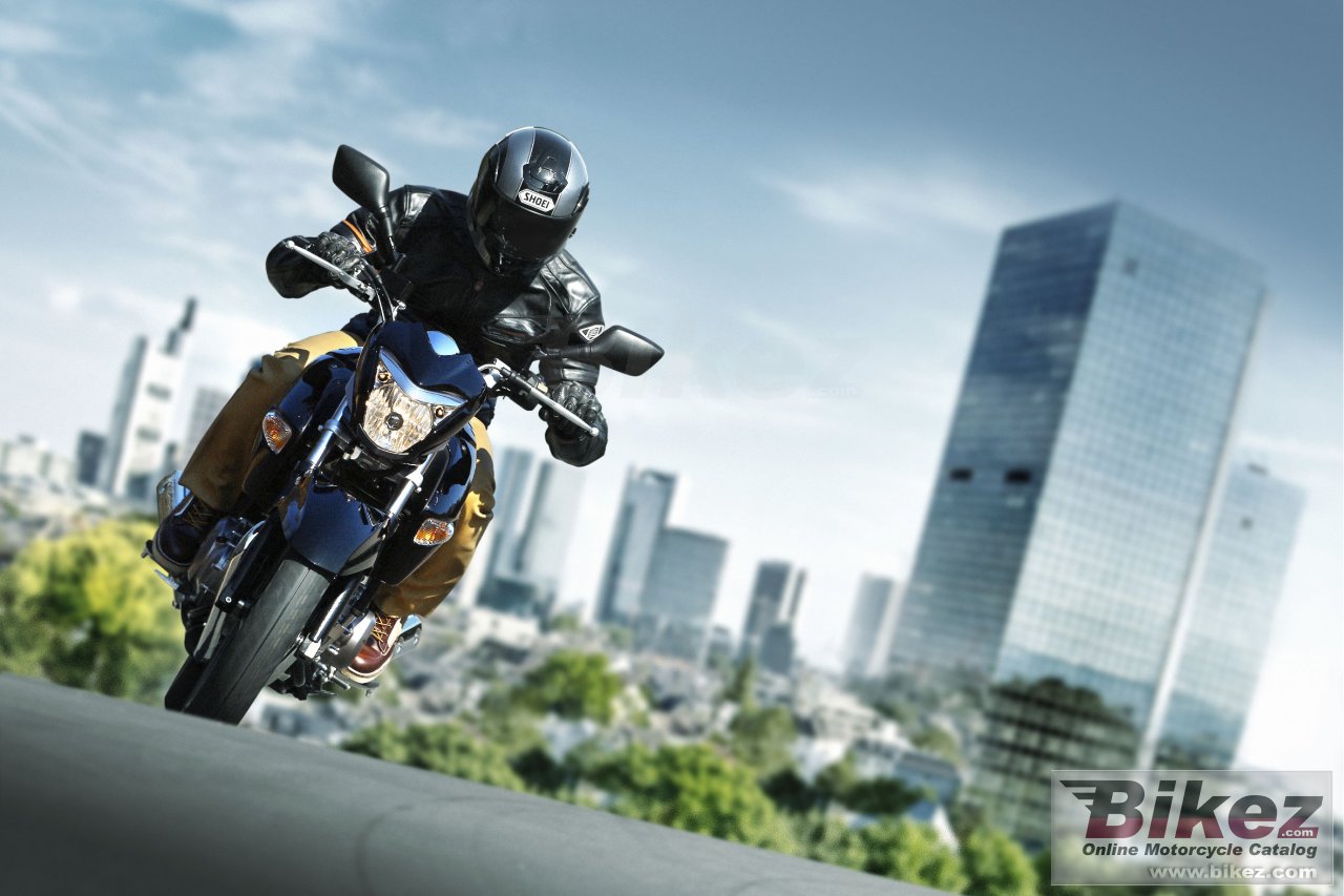 Thumbnail for Suzuki Inazuma 250 2016