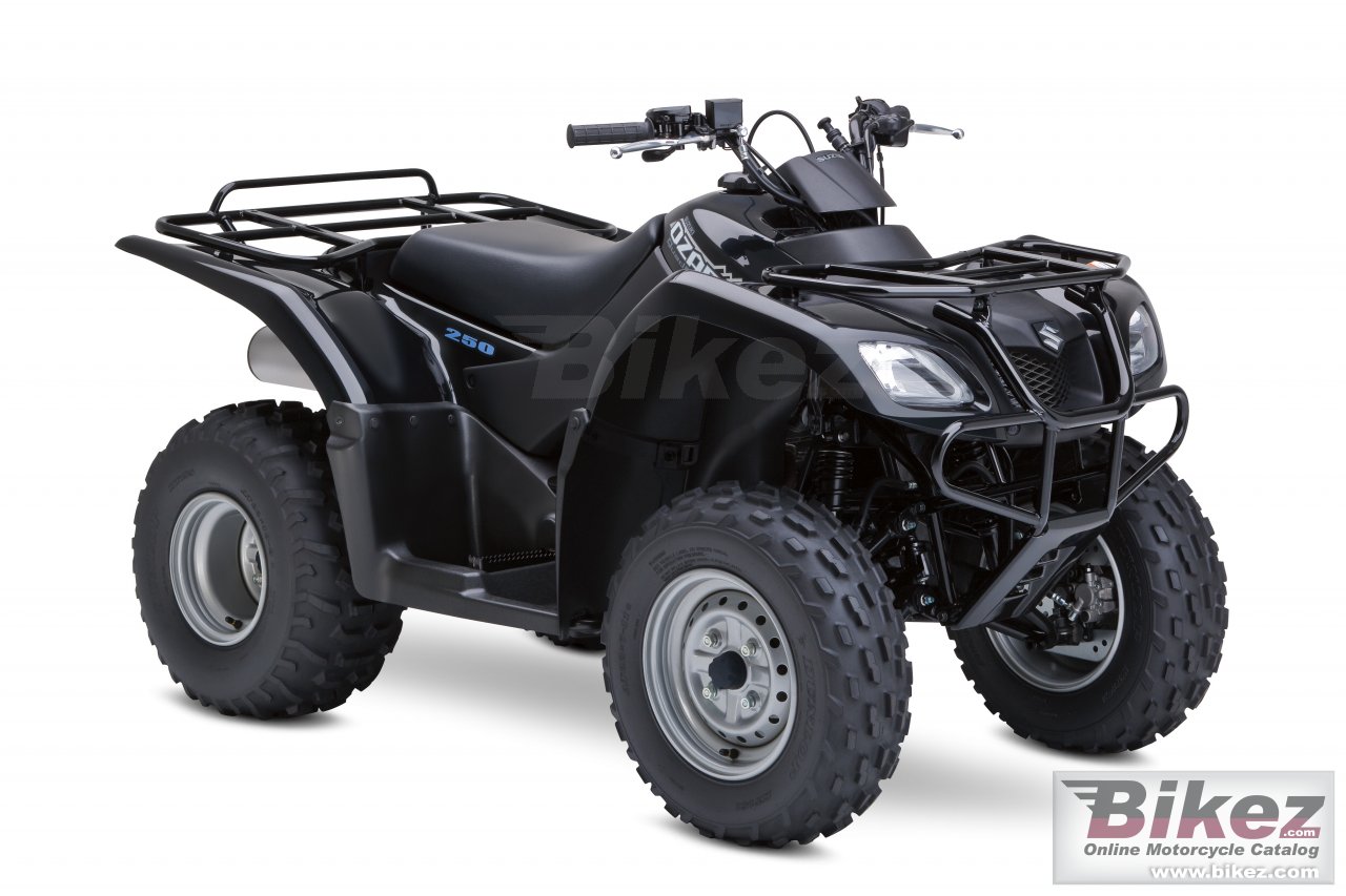 Suzuki Ozark 250