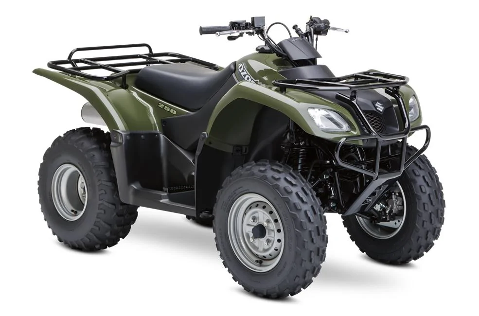 Suzuki Ozark 250