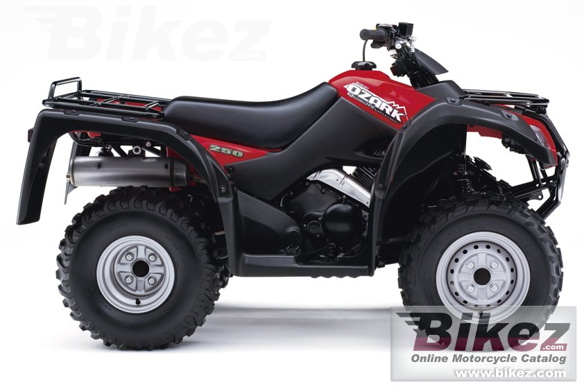 Thumbnail for Suzuki Ozark 250 2017
