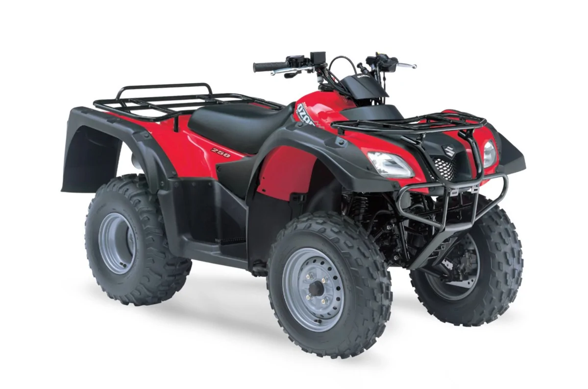 Thumbnail for Suzuki Ozark 250 2018