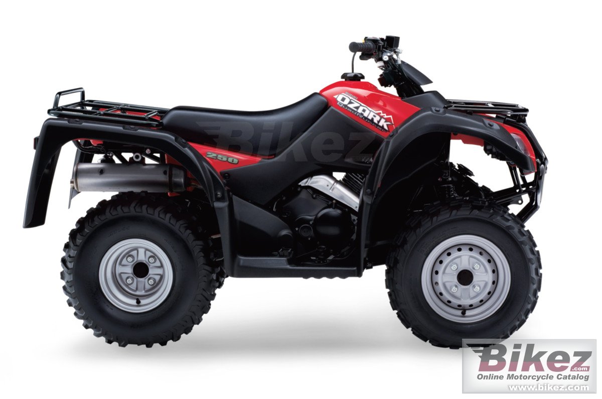 Suzuki Ozark 250