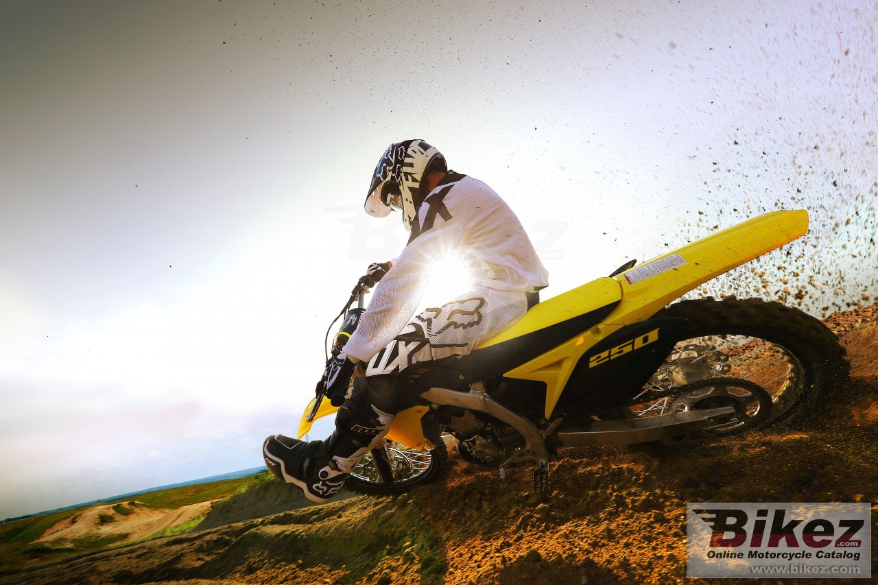 Thumbnail for Suzuki RM-Z250 2017