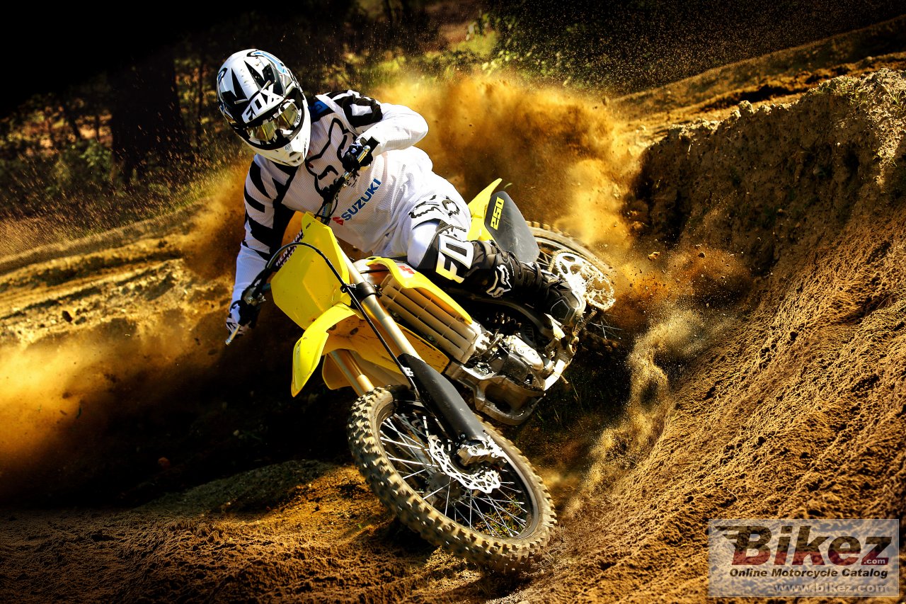 Thumbnail for Suzuki RM-Z250 2017