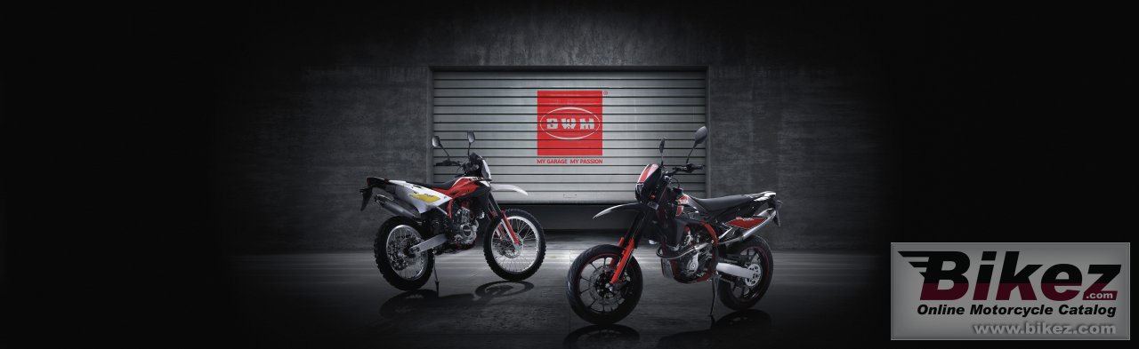 Thumbnail for SWM RS 125 R 2016