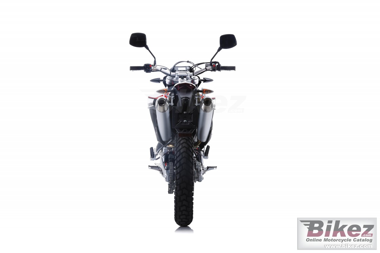 Thumbnail for SWM RS 650 R 2016