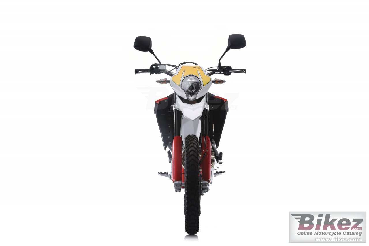 Thumbnail for SWM RS 650 R 2016