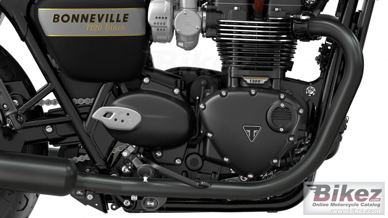 Thumbnail for Triumph Bonneville T120 Black Gold Line 2023