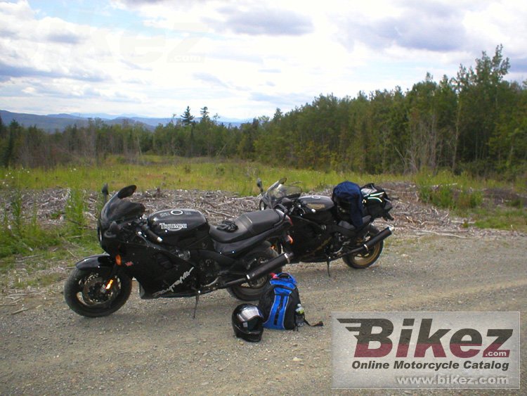 Thumbnail for Triumph Daytona 1200 SE (Special Edition) 1999