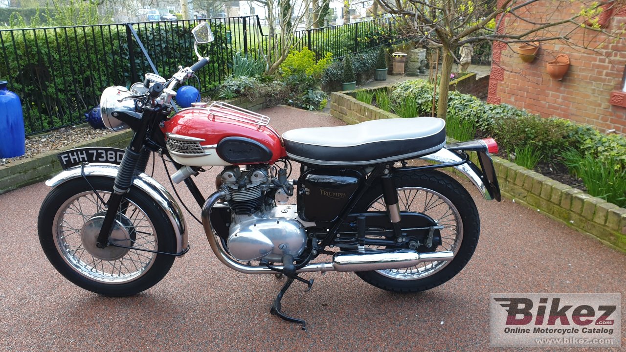 Thumbnail for Triumph Speed Twin 1966