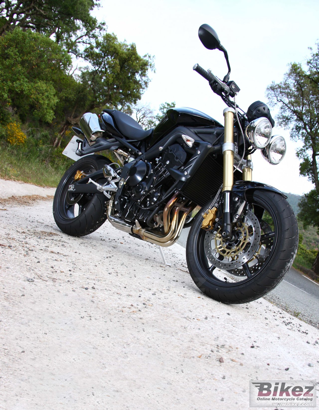 Thumbnail for Triumph Street Triple 2009