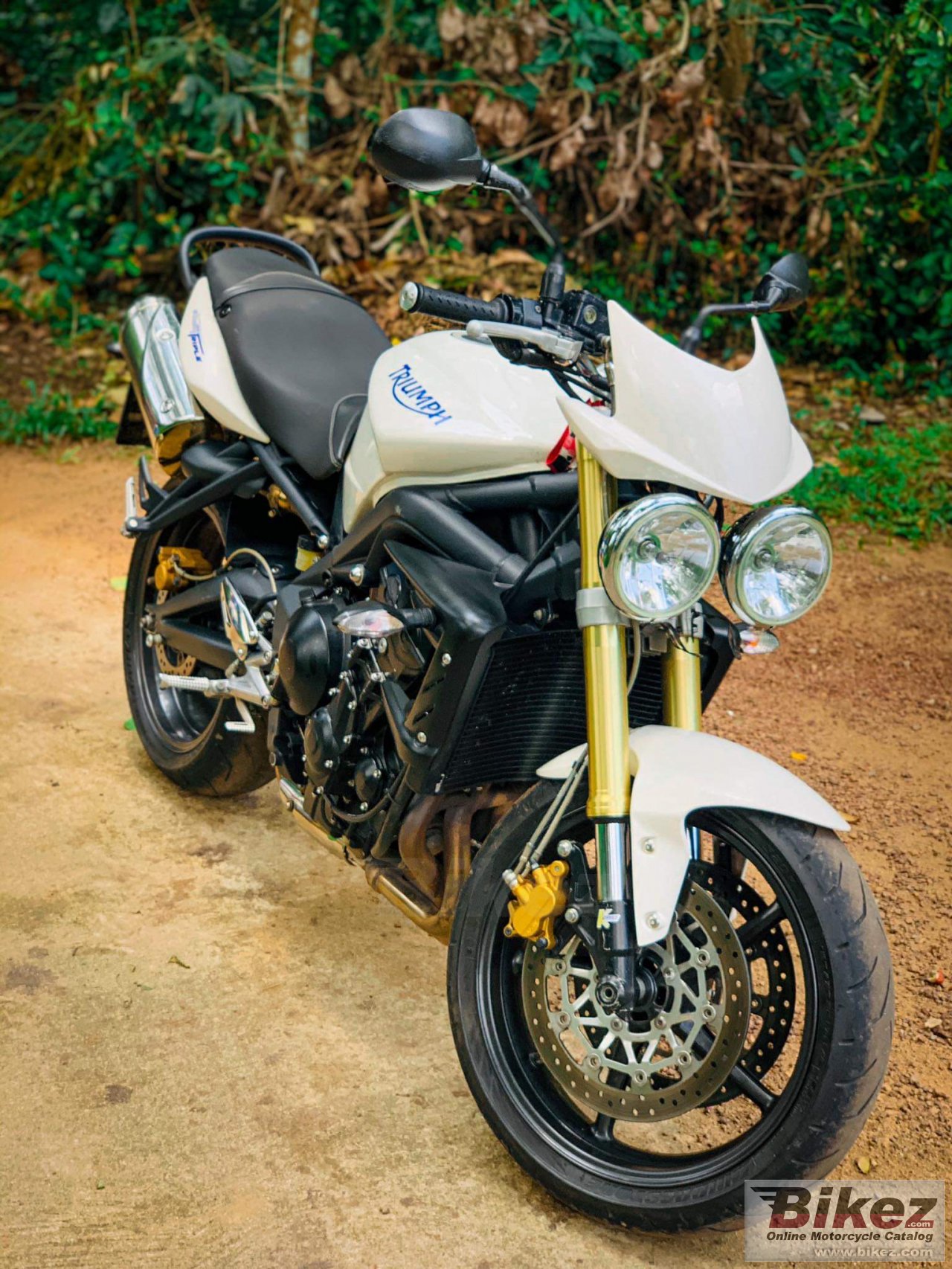 Thumbnail for Triumph Street Triple 675 2008