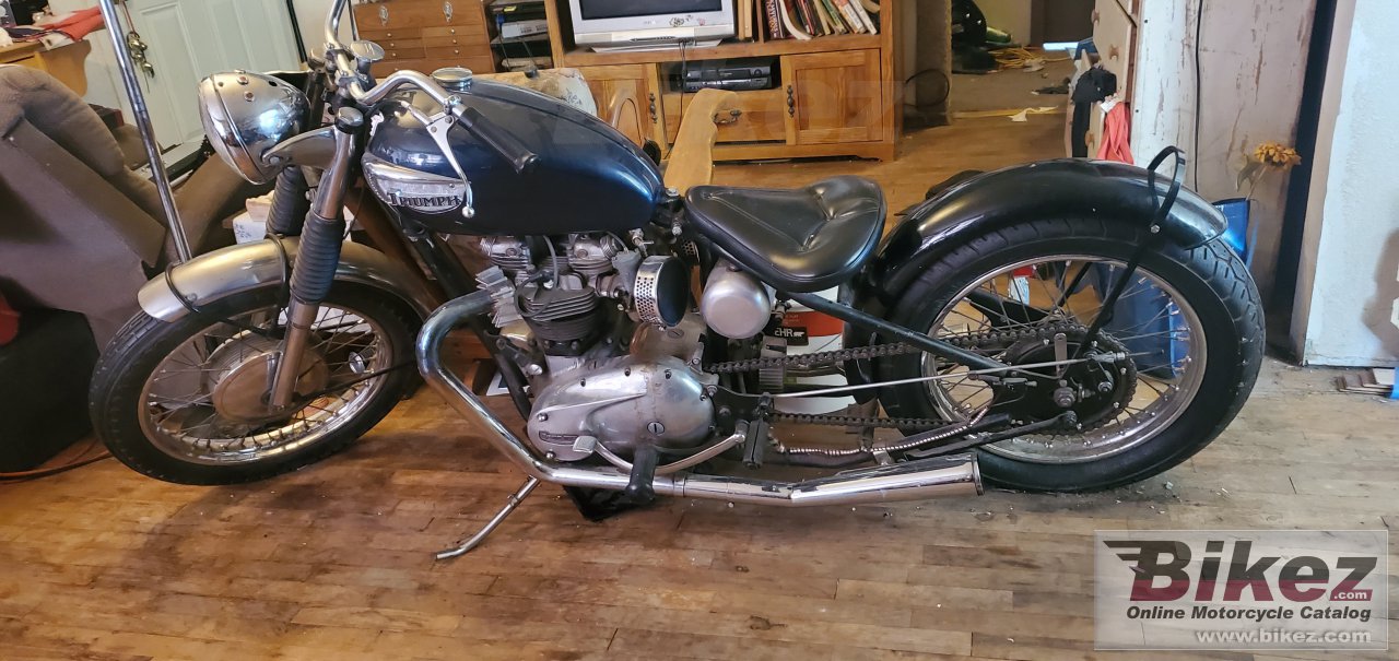 Triumph T120R Bonneville