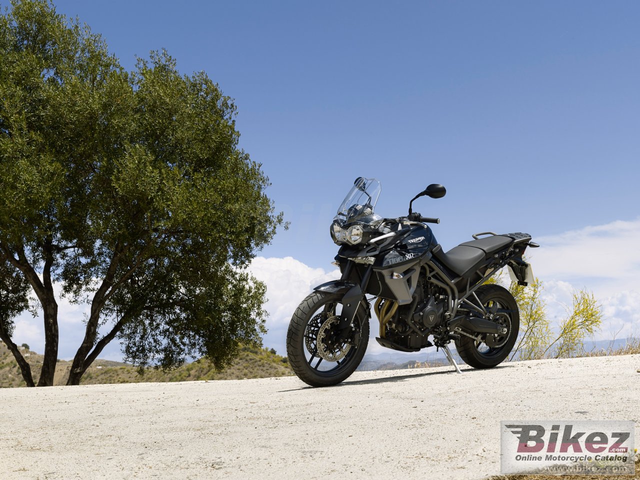 Thumbnail for Triumph Tiger 800 XR 2017