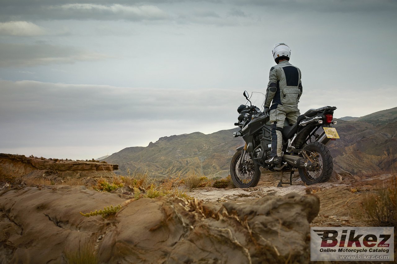 Thumbnail for Triumph Tiger Explorer XC 2013
