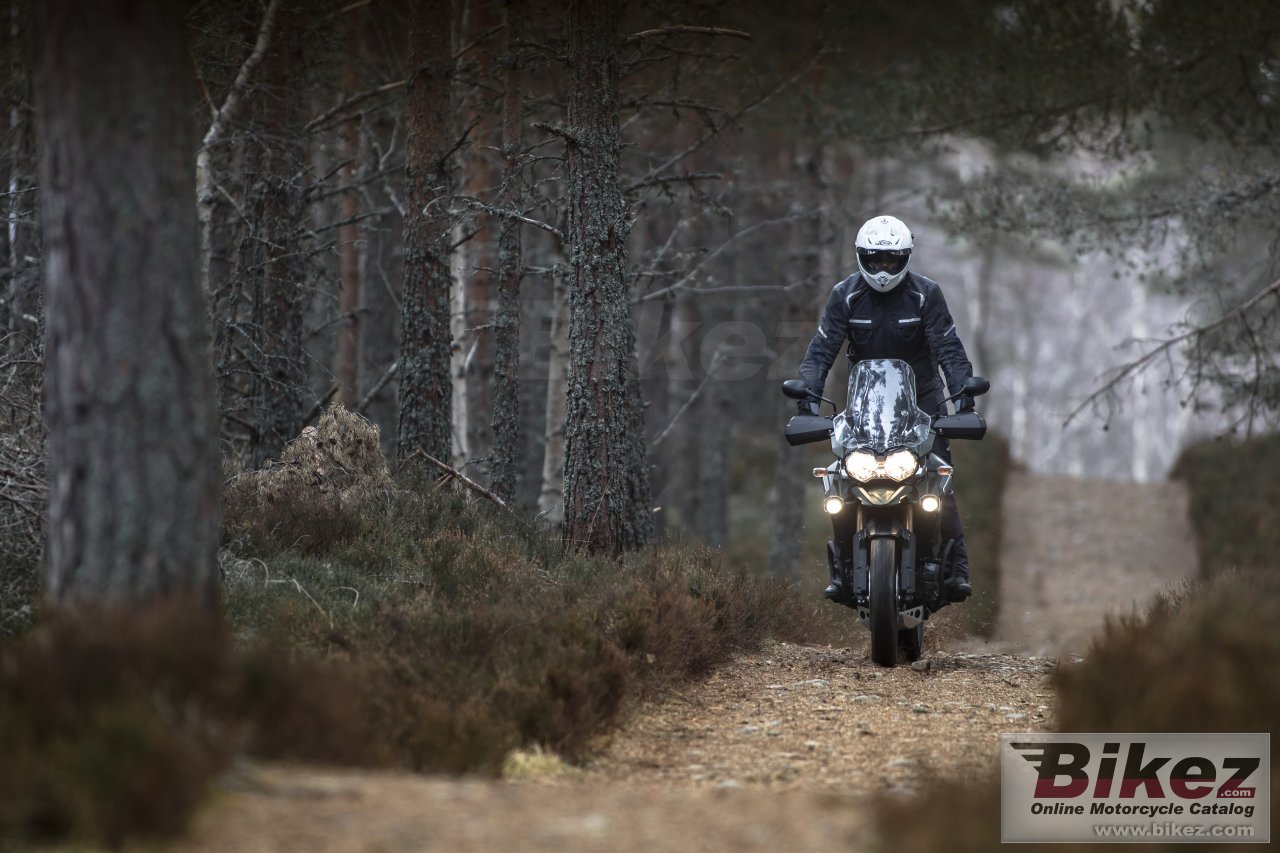 Thumbnail for Triumph Tiger Explorer XC 2014