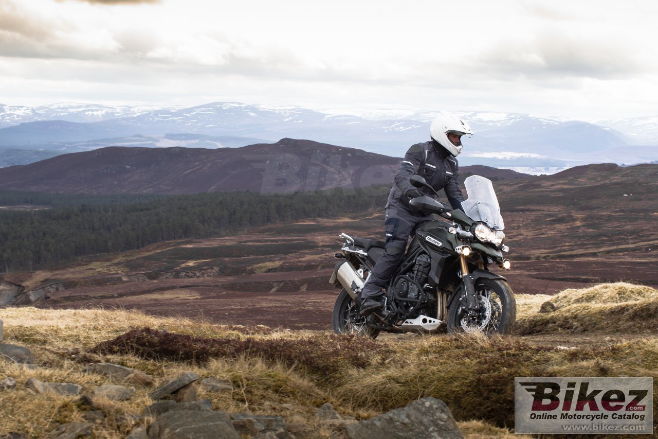 Thumbnail for Triumph Tiger Explorer XC 2014