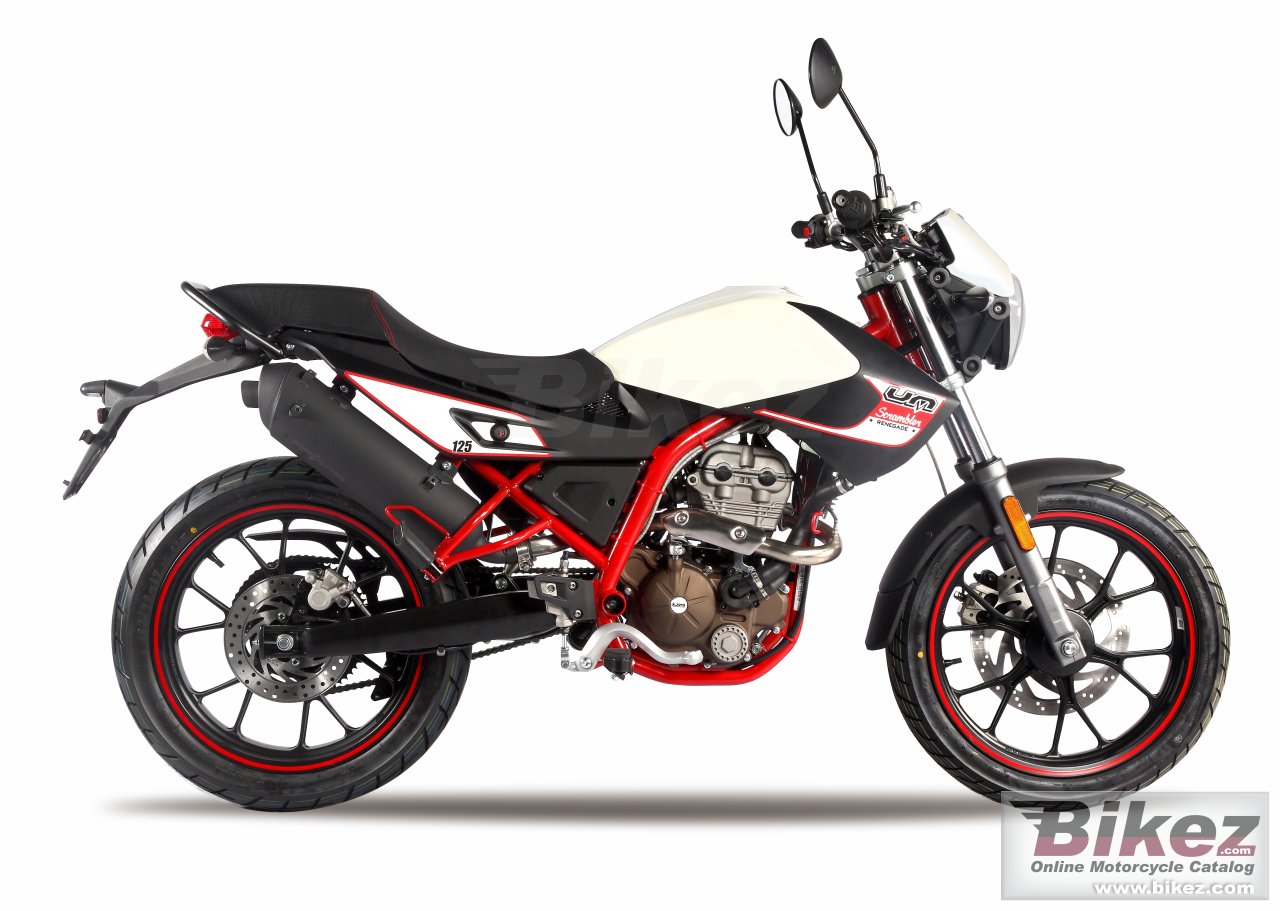 Thumbnail for UM Scrambler Sport 2018