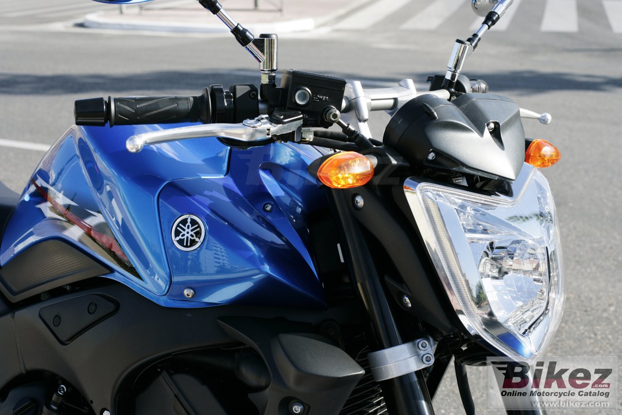 Thumbnail for Yamaha FZ1 2007