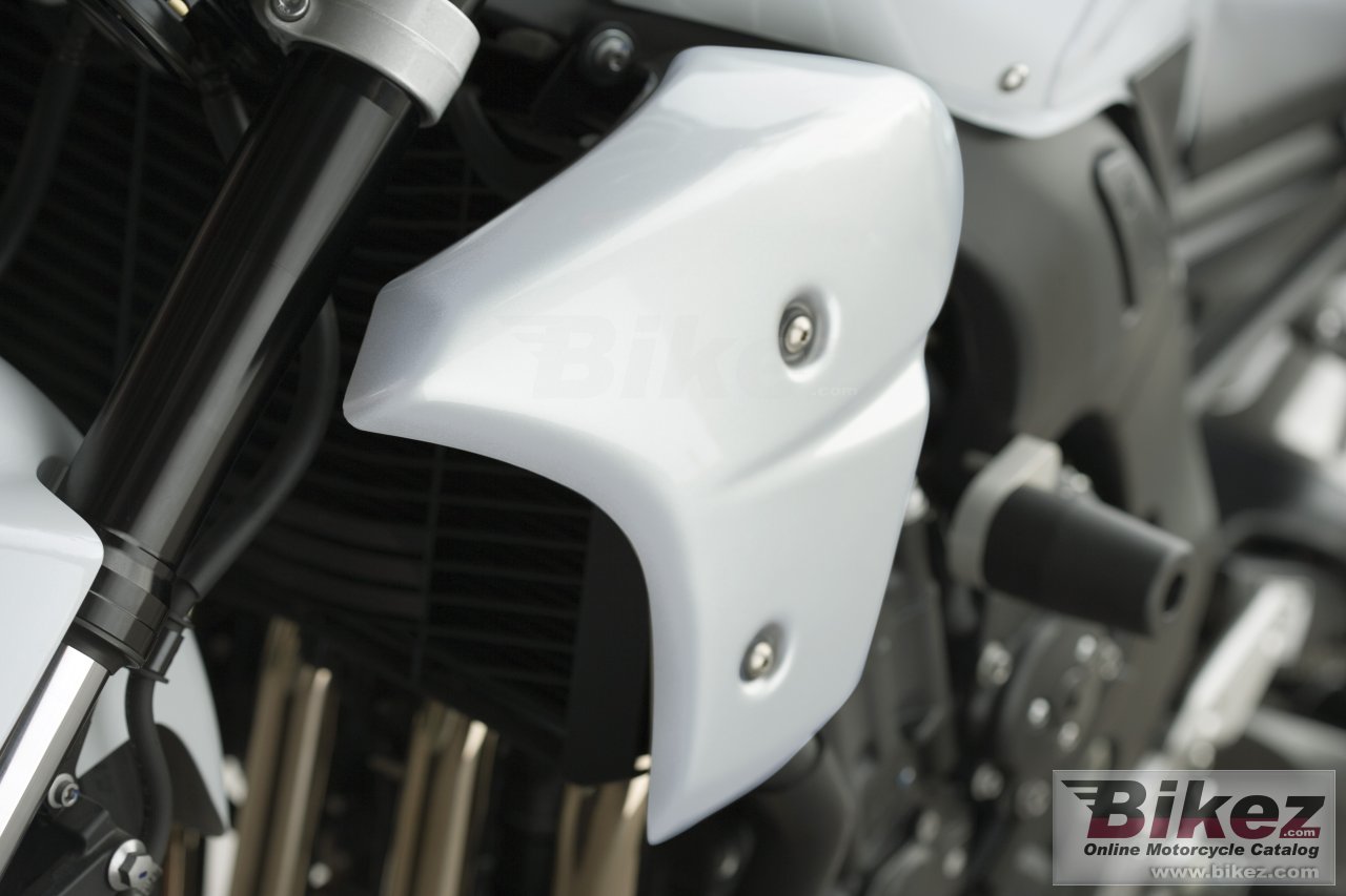Thumbnail for Yamaha FZ1 2008