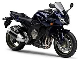 Thumbnail for Yamaha FZ1 ABS 2009