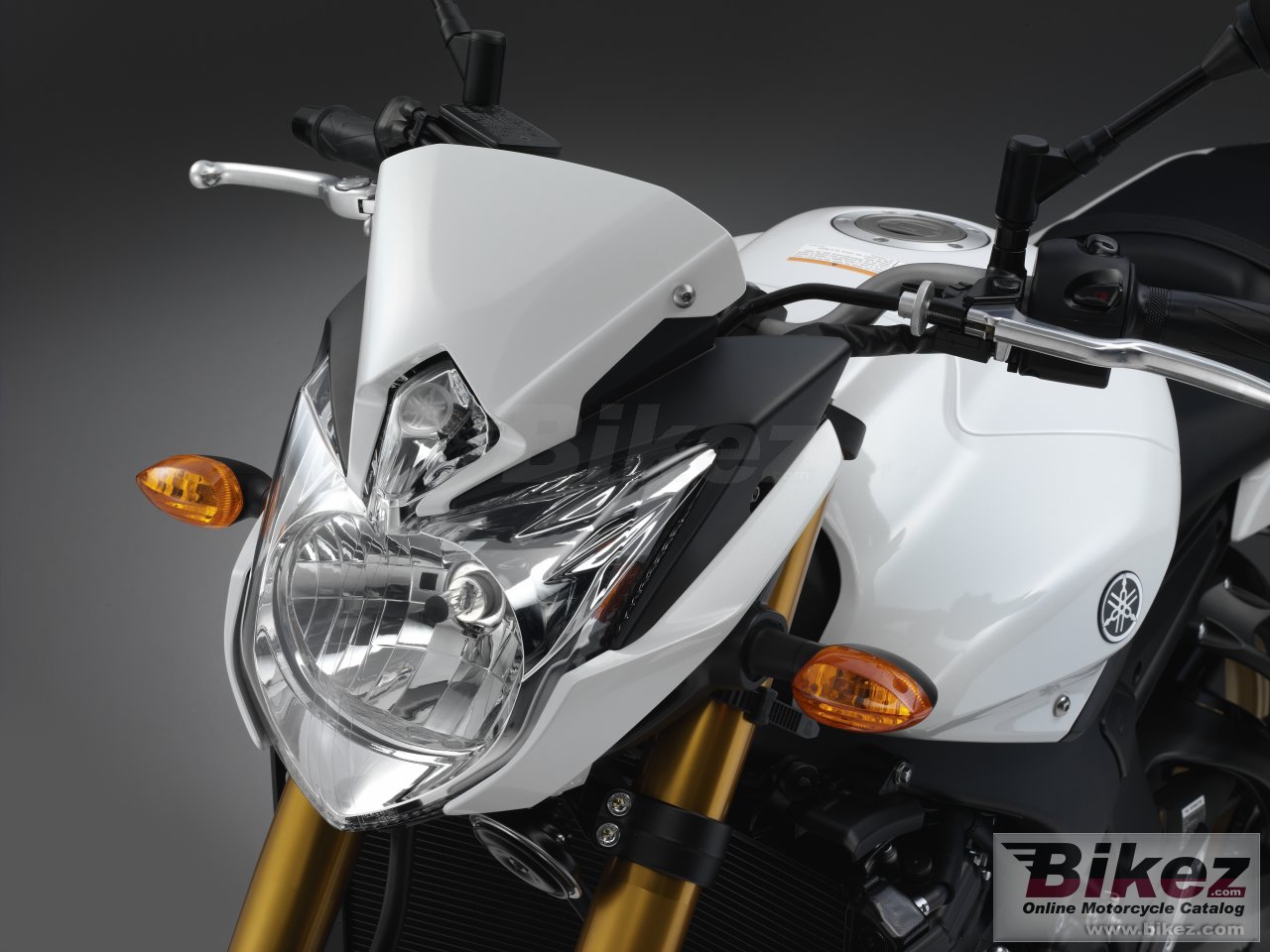 Thumbnail for Yamaha FZ8 2011