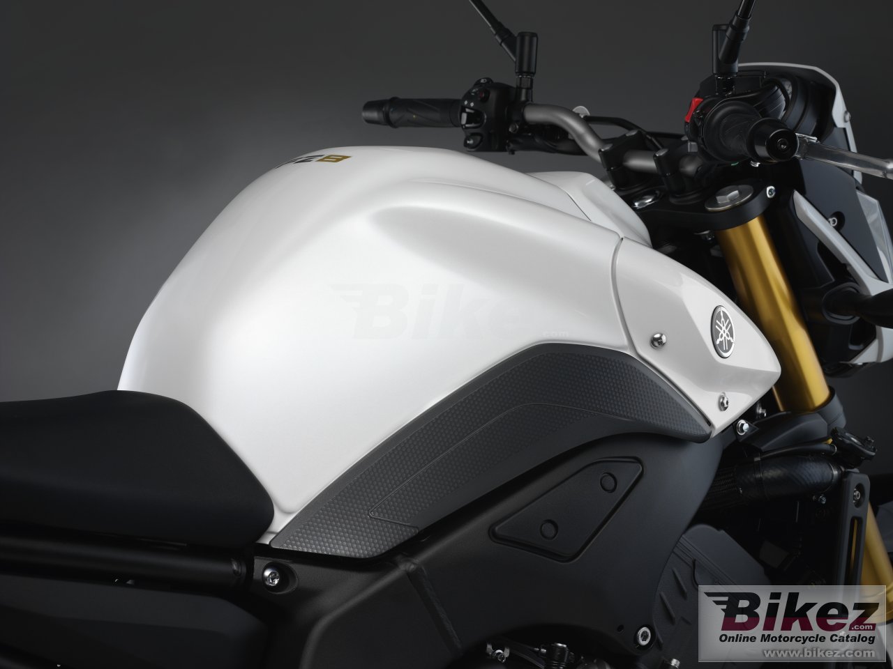 Thumbnail for Yamaha FZ8 2011