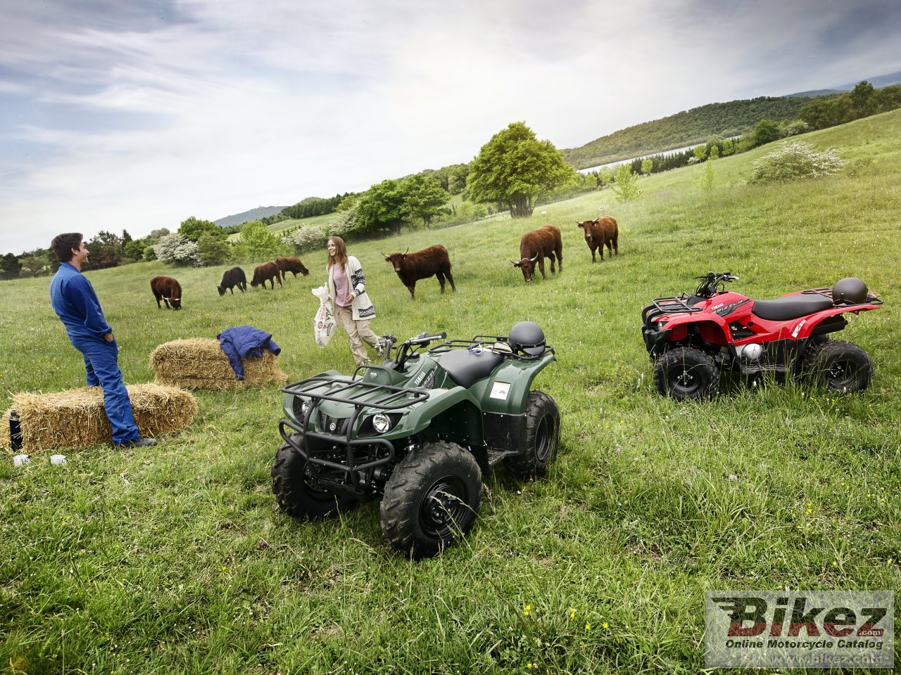Thumbnail for Yamaha Grizzly 350 4WD 2019
