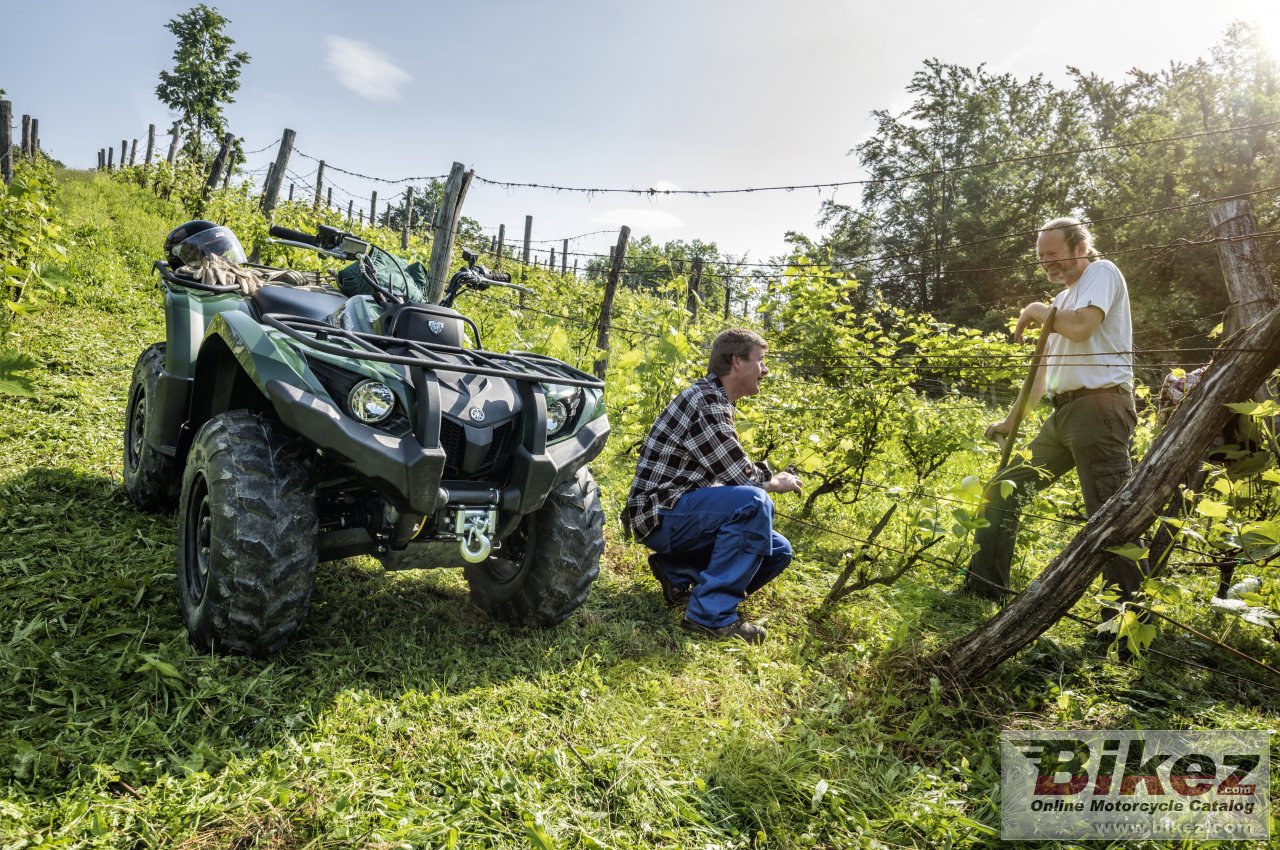 Thumbnail for Yamaha Grizzly 450 IRS 2016