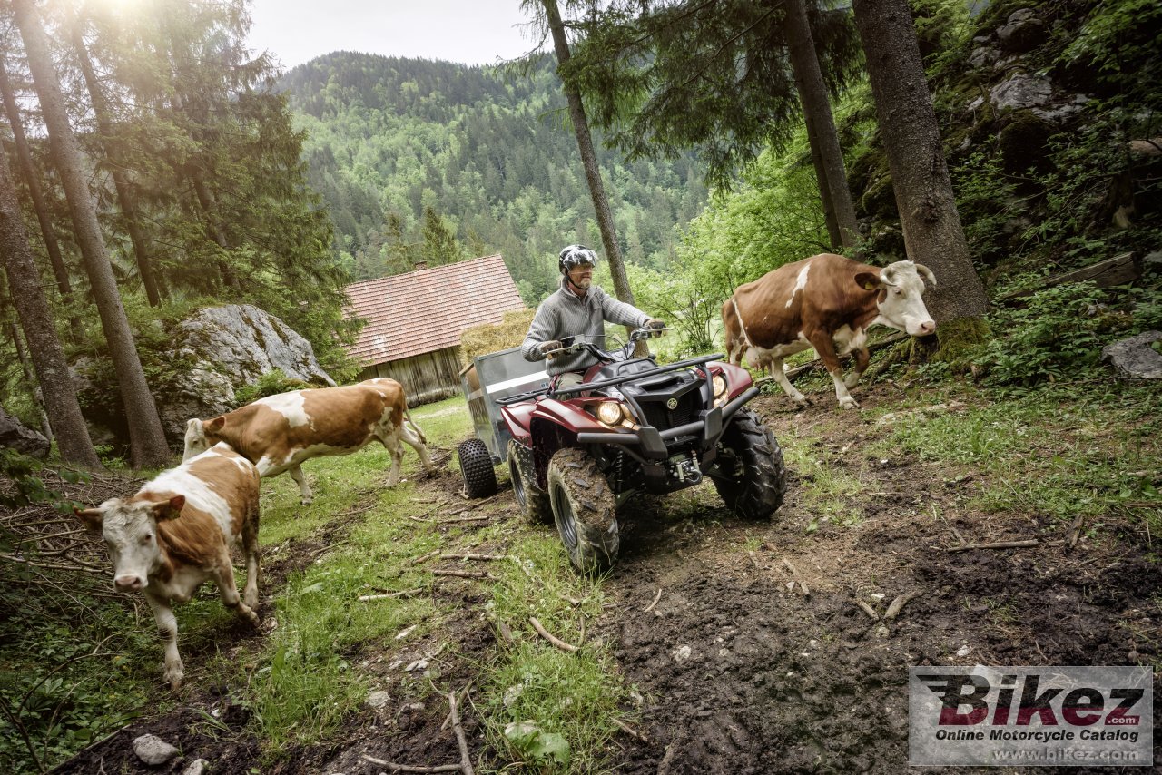 Thumbnail for Yamaha Kodiak 700 2020