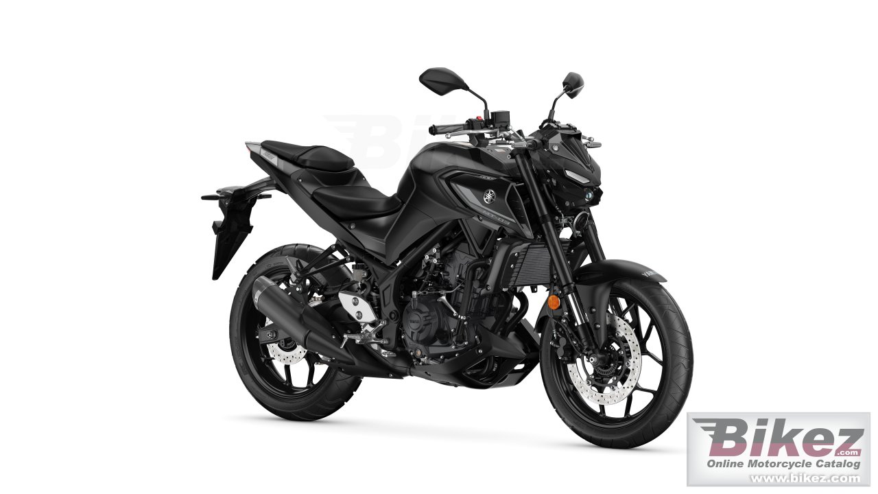 Thumbnail for Yamaha MT-03 2024