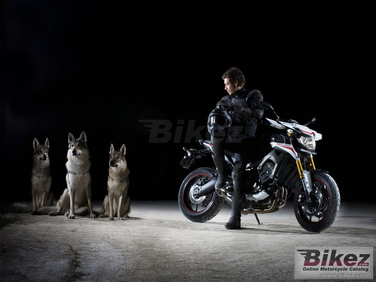 Thumbnail for Yamaha MT-09 Street Rally 2014