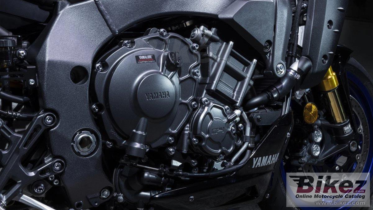 Thumbnail for Yamaha MT-10 SP 2024