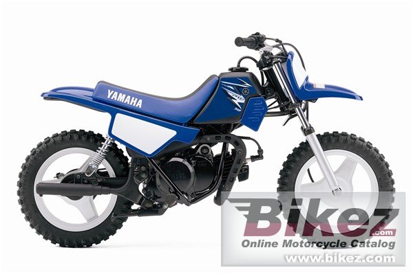 Yamaha PW50