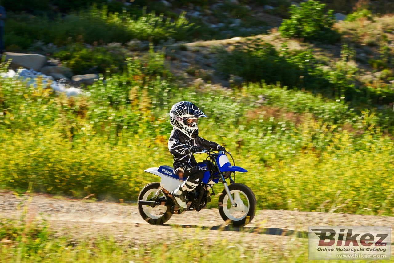 Thumbnail for Yamaha PW50 2014